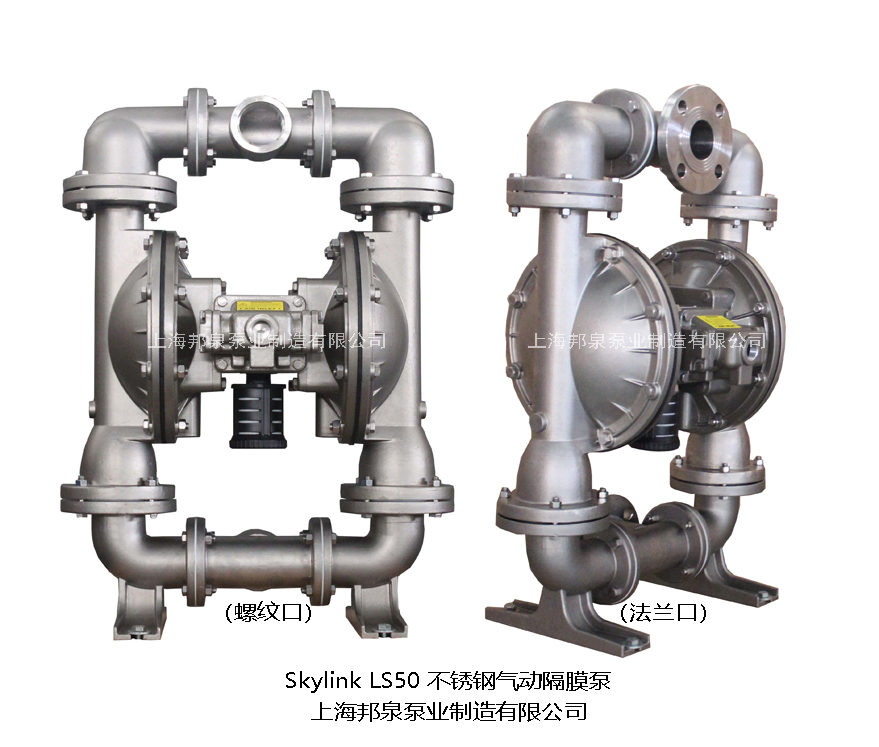 skylink ls50ss-t/n-tt-tt-00不锈钢气动隔膜泵