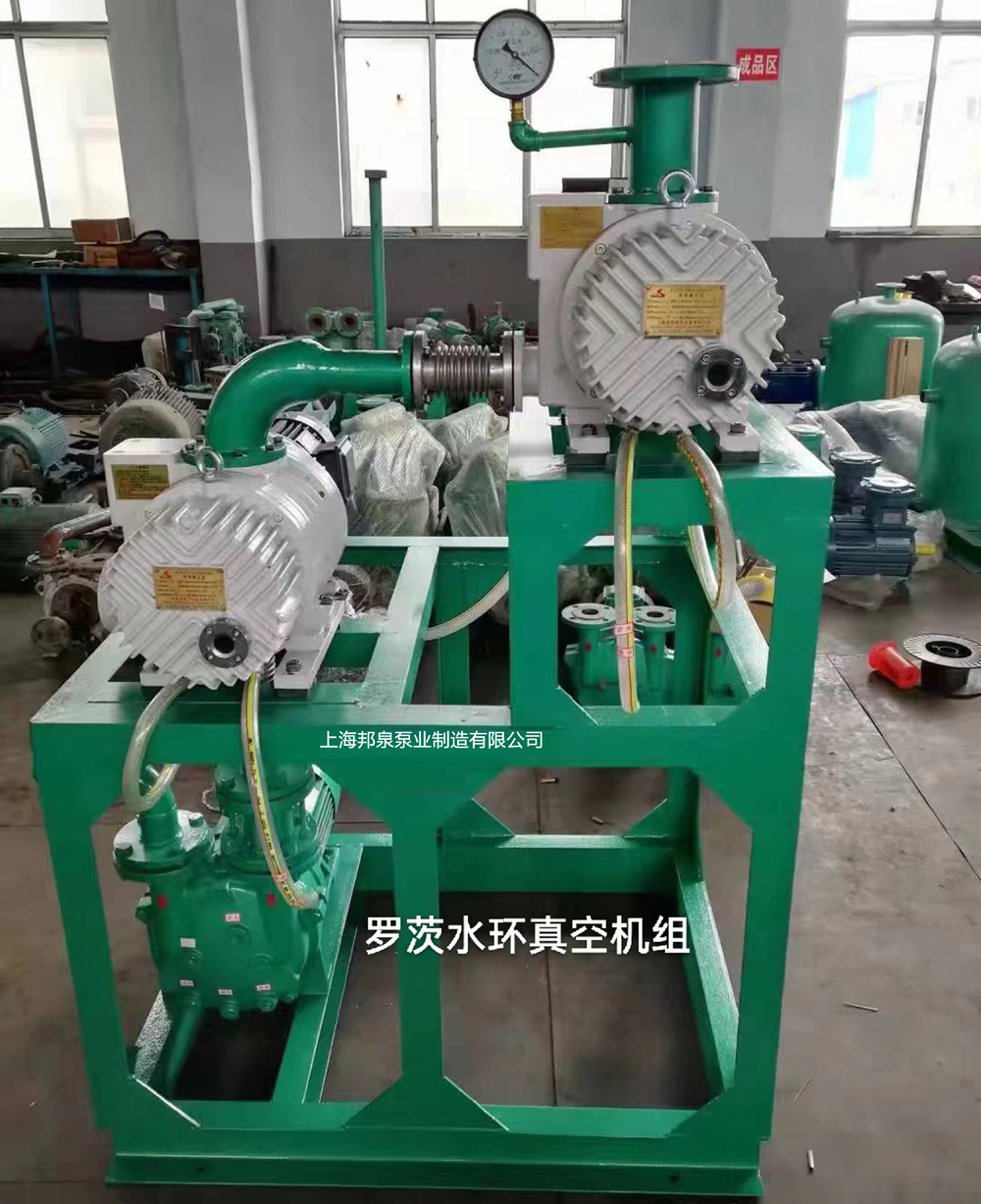 罗茨水环真空机组roots pump systems with water ring