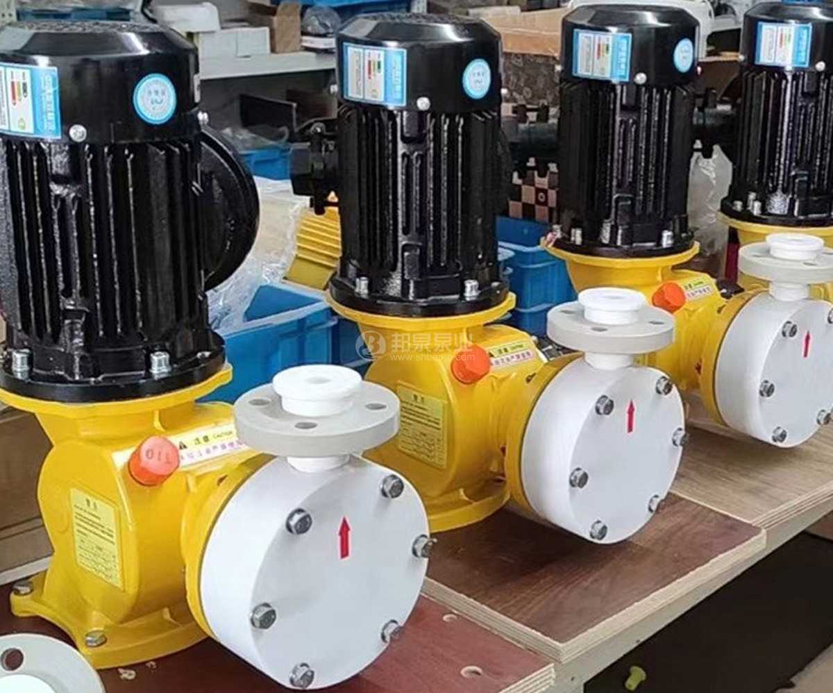 ptfe四氟泵头机械隔膜计量泵diaphragm metering pump