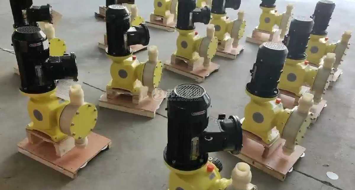 2300l pvdf metering pump pvdf防爆计量泵